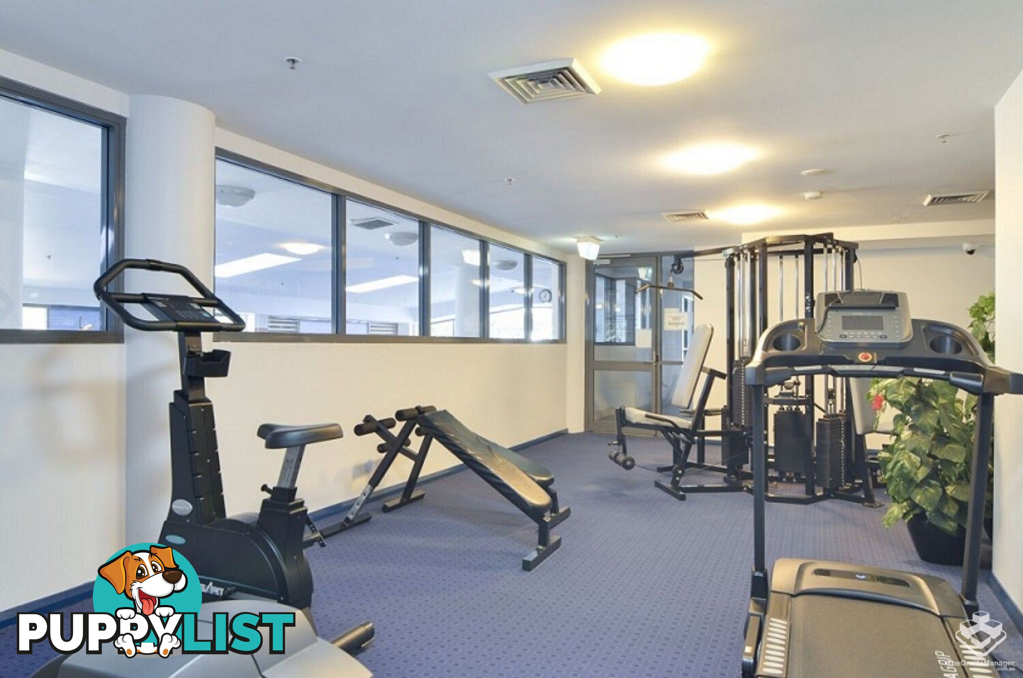 59/6-10 Romsey Street Waitara NSW 2077