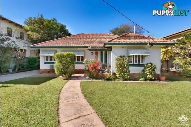 11 Alma Road Clayfield QLD 4011