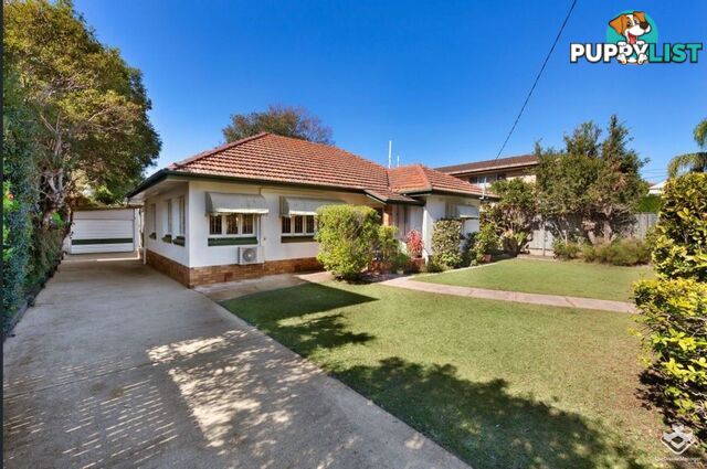 11 Alma Road Clayfield QLD 4011