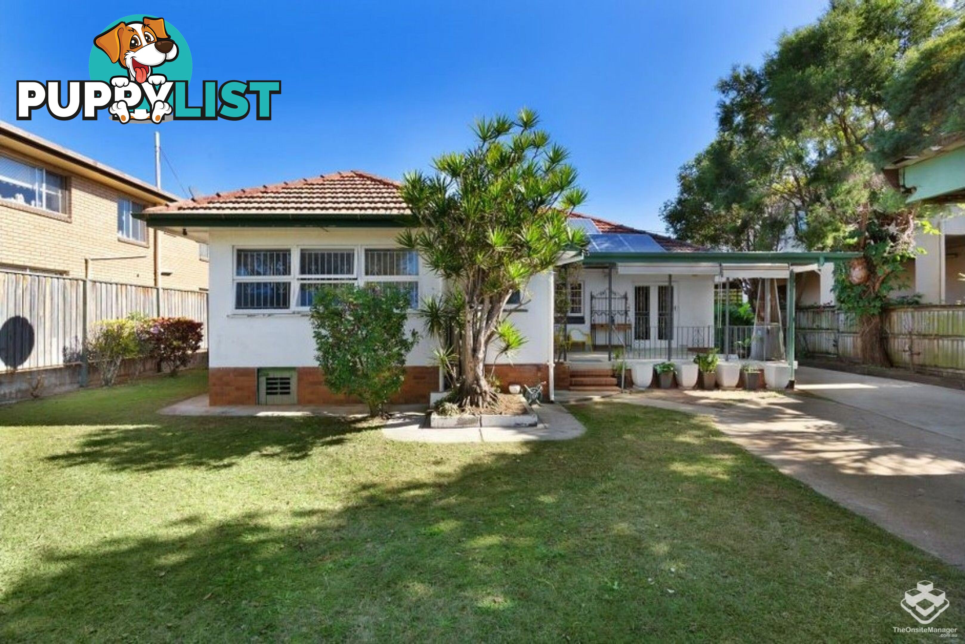 11 Alma Road Clayfield QLD 4011