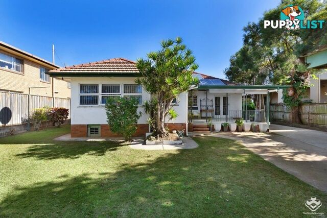 11 Alma Road Clayfield QLD 4011