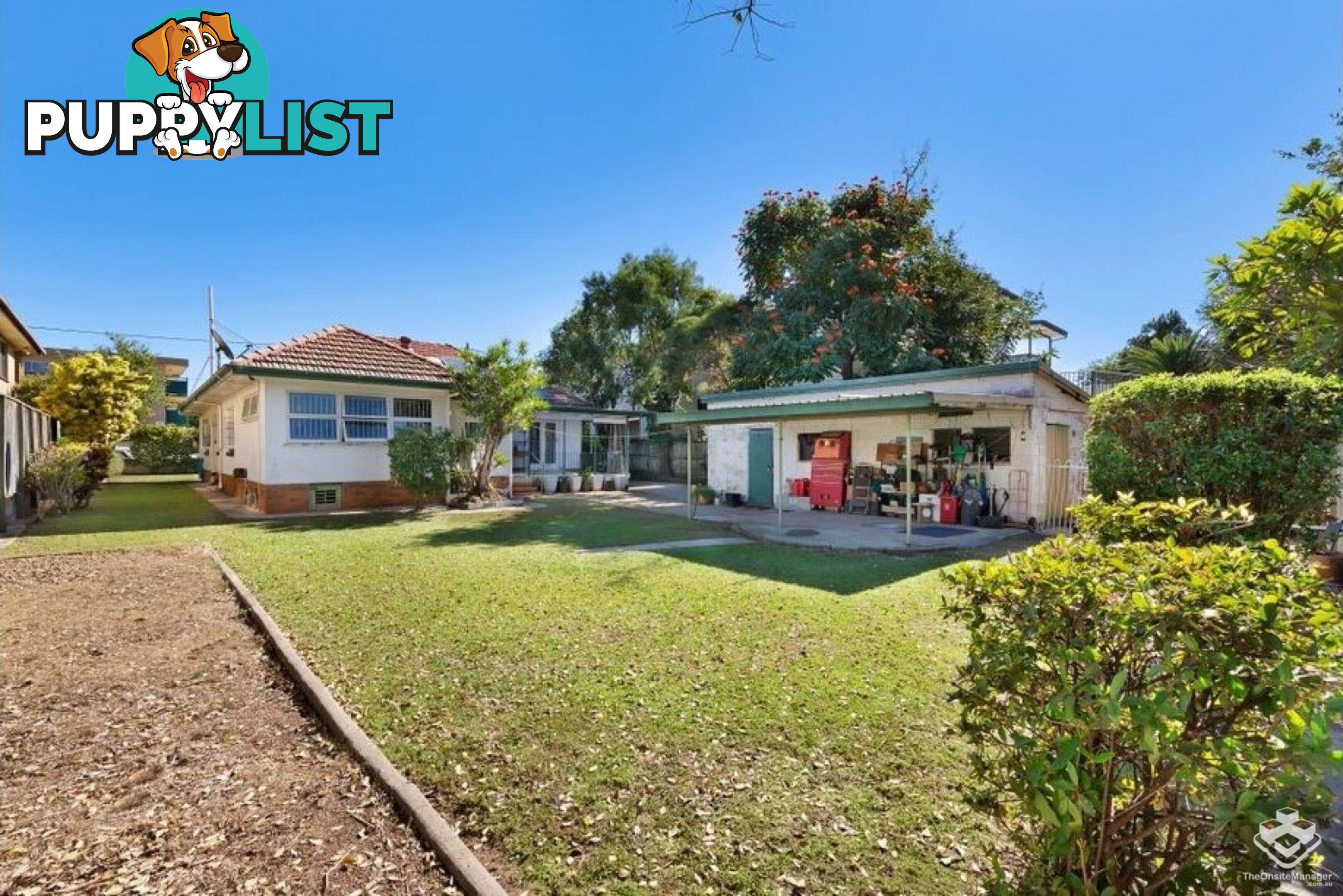 11 Alma Road Clayfield QLD 4011