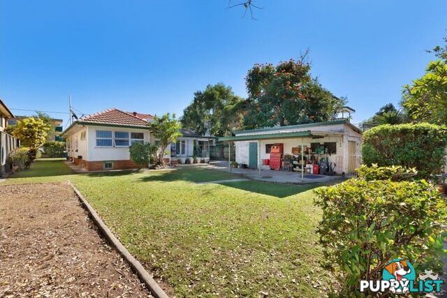 11 Alma Road Clayfield QLD 4011