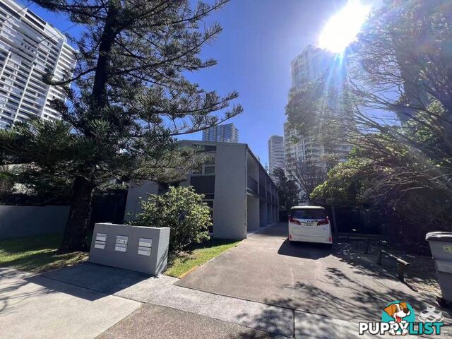 3/3 Margaret Avenue Broadbeach QLD 4218