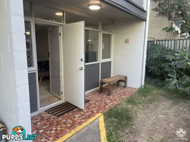 3/3 Margaret Avenue Broadbeach QLD 4218