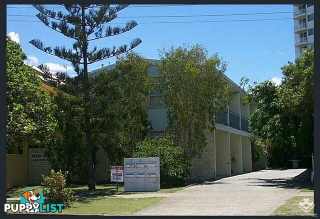 3/3 Margaret Avenue Broadbeach QLD 4218