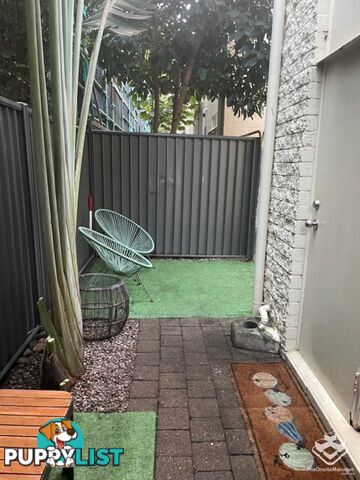3/3 Margaret Avenue Broadbeach QLD 4218