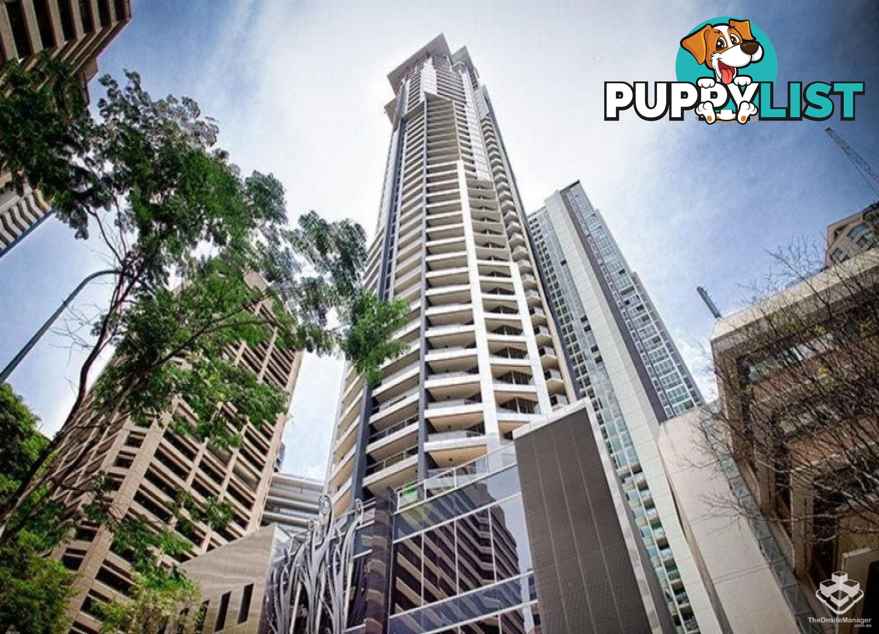 ID:21152868 70 Mary Street Brisbane City QLD 4000