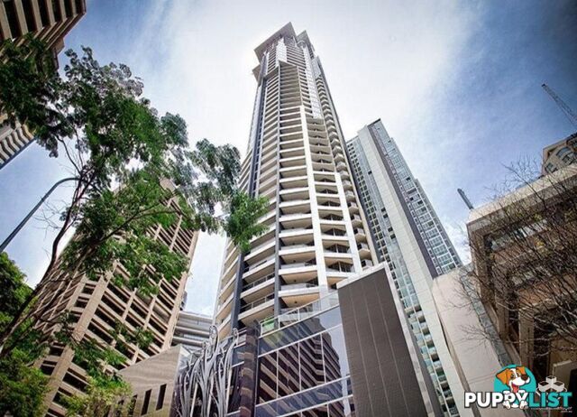ID:21152868 70 Mary Street Brisbane City QLD 4000