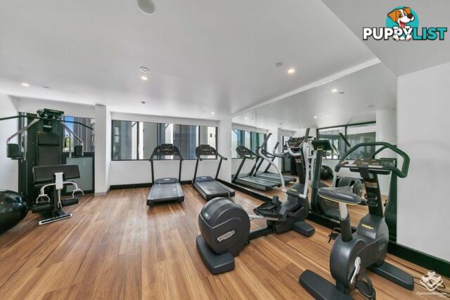 ID:21158051 6 Christie Street South Brisbane QLD 4101