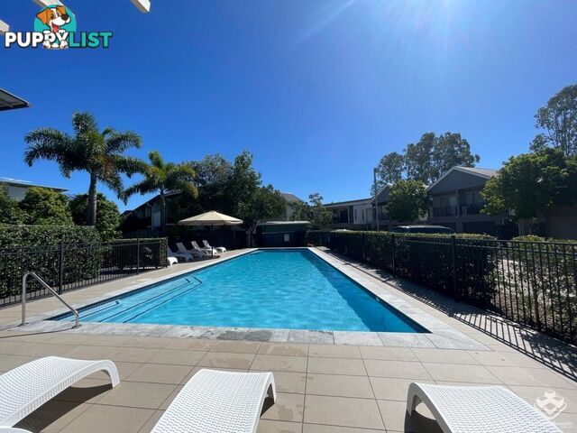 U3/123 Barrack Road Cannon Hill QLD 4170
