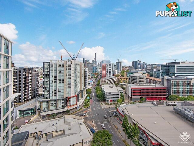 41107/1033 Ann Street Newstead QLD 4006