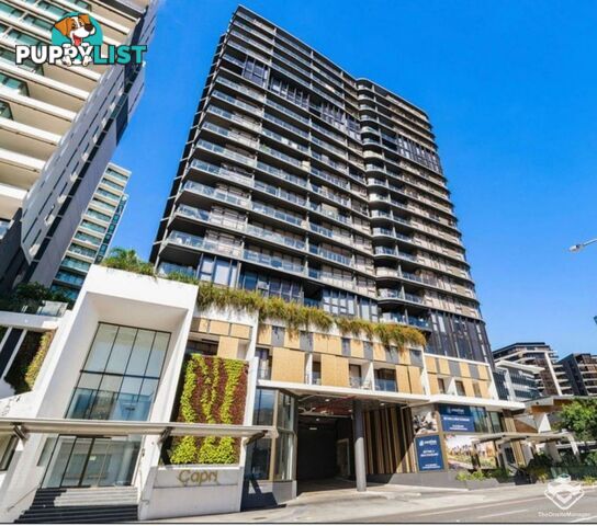 41107/1033 Ann Street Newstead QLD 4006