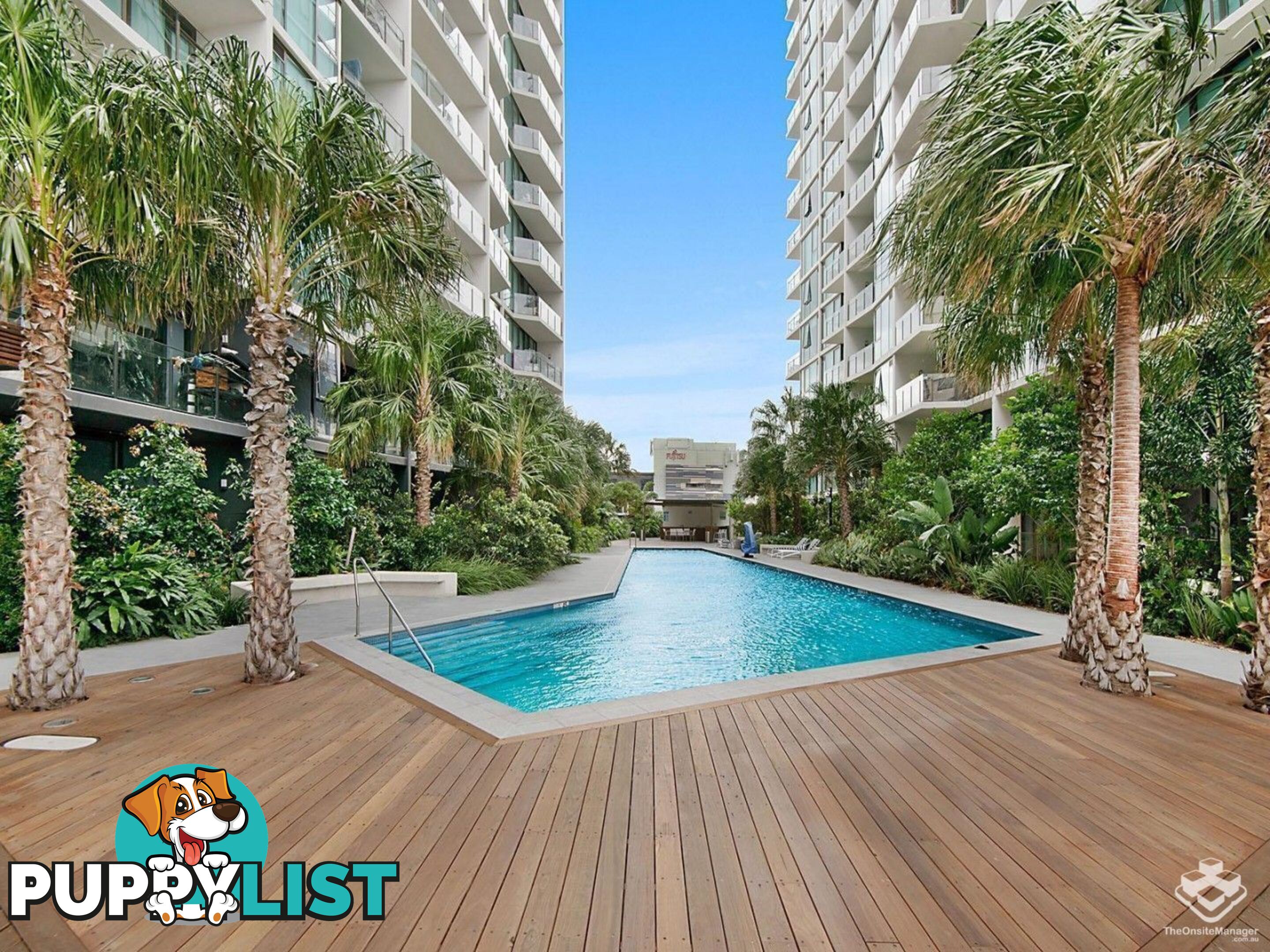 41107/1033 Ann Street Newstead QLD 4006