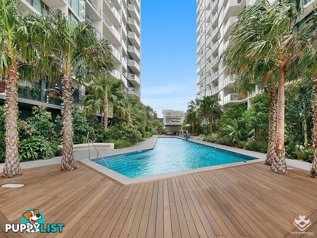 41107/1033 Ann Street Newstead QLD 4006
