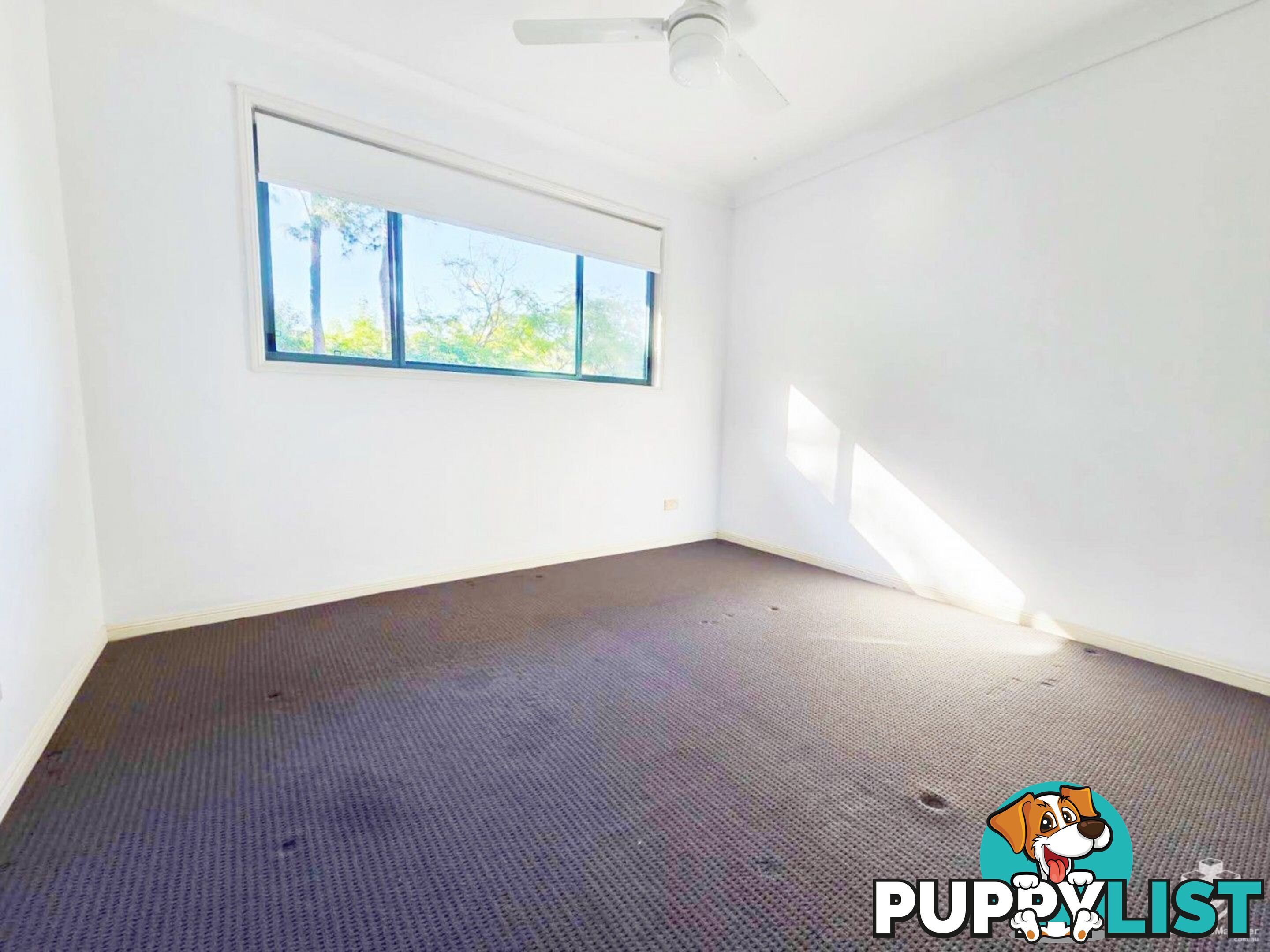 ID:21158300 19 Santa Barbara Road Hope Island QLD 4212