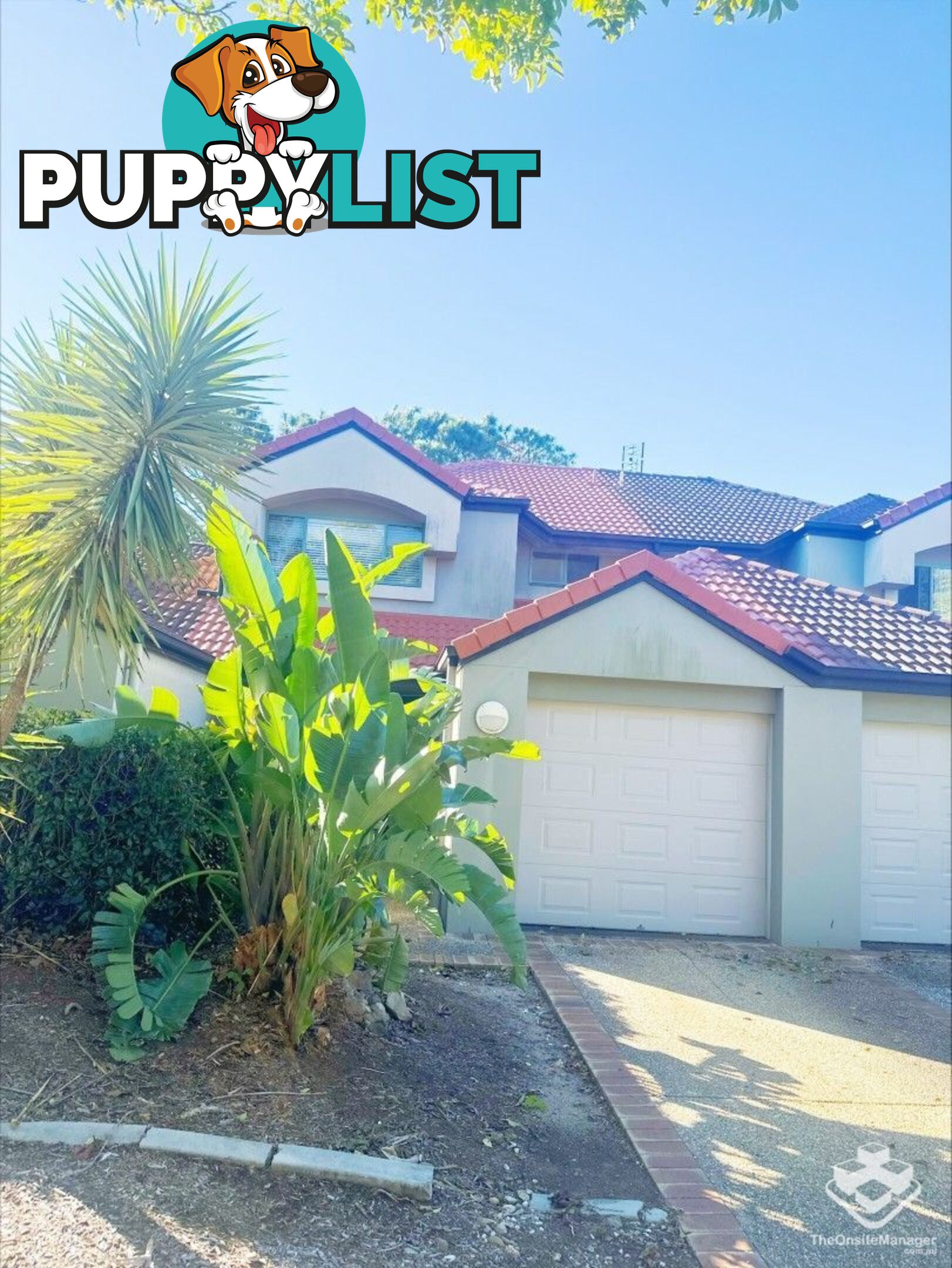 ID:21158300 19 Santa Barbara Road Hope Island QLD 4212