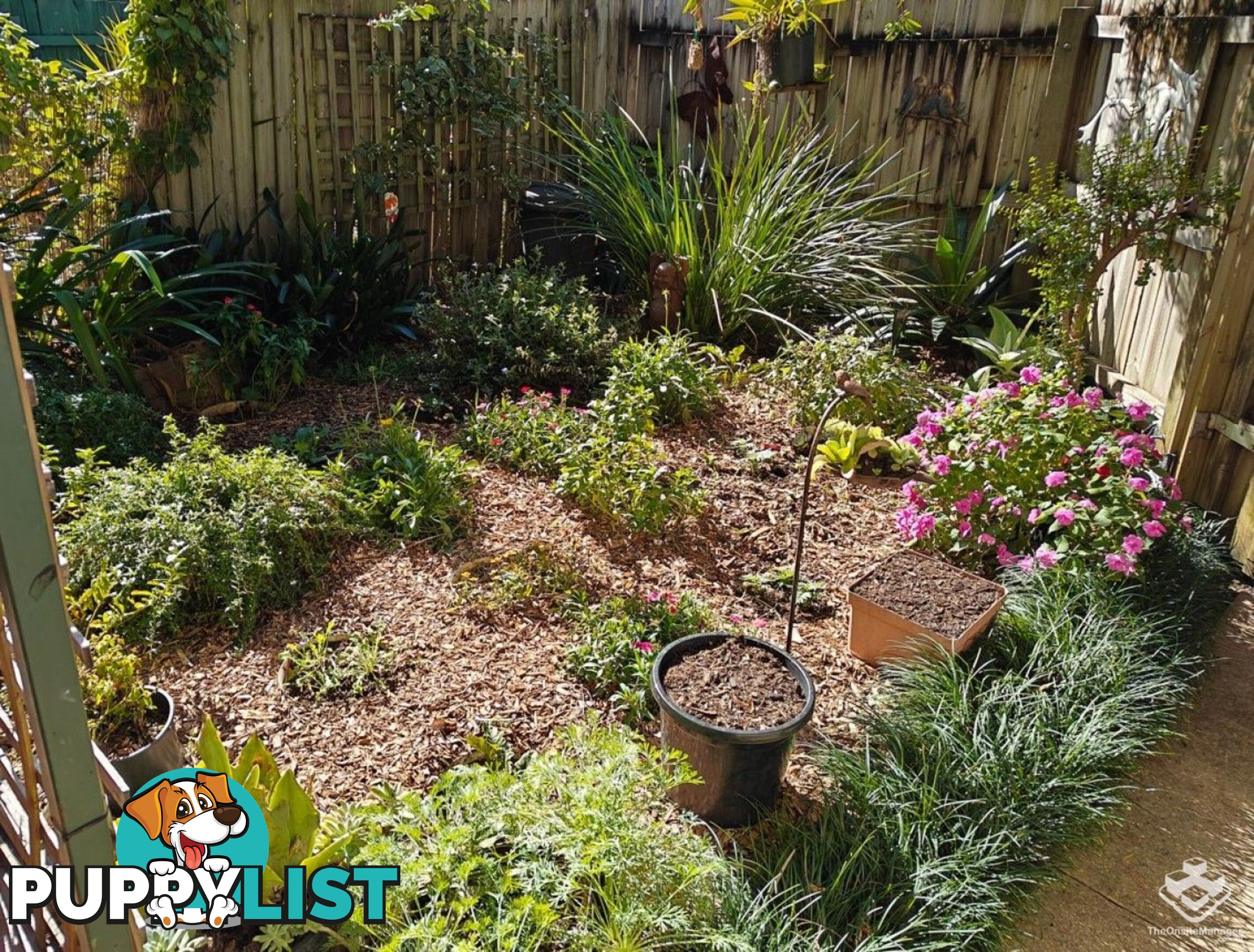 3/65 Park Road Slacks Creek QLD 4127