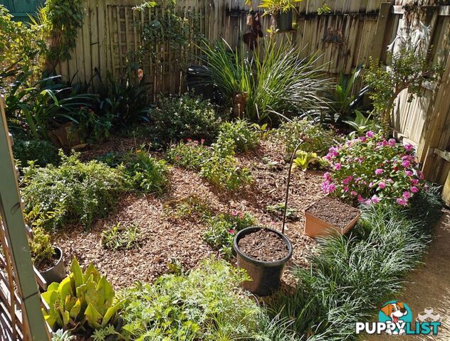 3/65 Park Road Slacks Creek QLD 4127