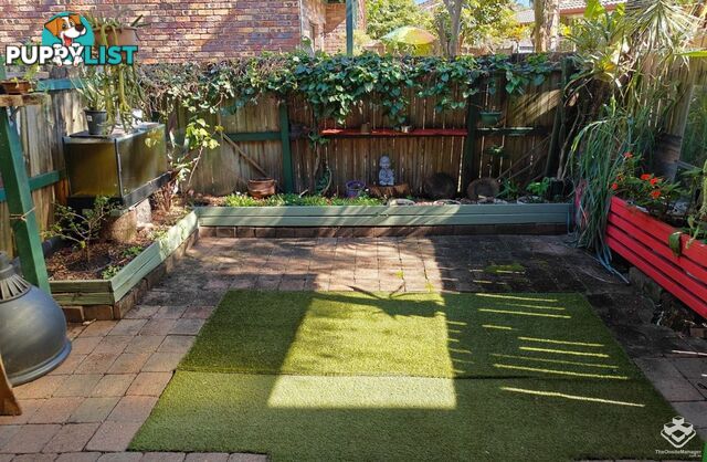 3/65 Park Road Slacks Creek QLD 4127