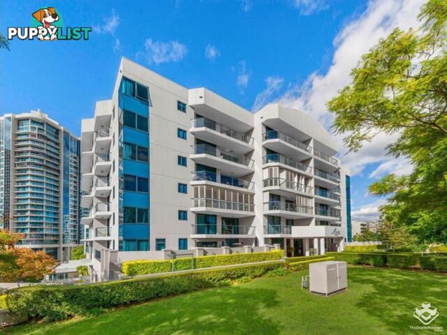 17/45 Deakin Street Kangaroo Point QLD 4169