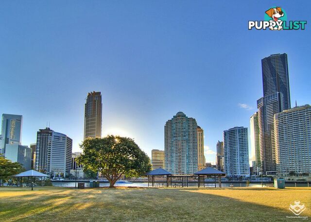 17/45 Deakin Street Kangaroo Point QLD 4169
