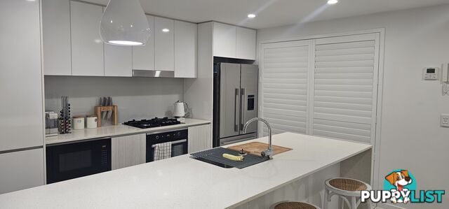 ID:21155512 388 Marine Parade Labrador QLD 4215