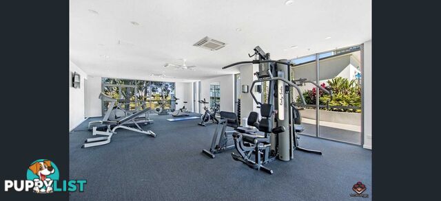 ID:21155512 388 Marine Parade Labrador QLD 4215