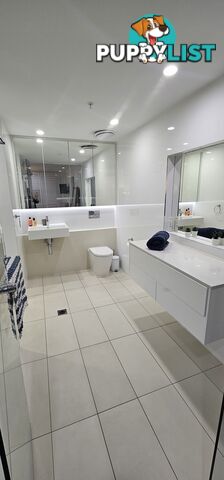 ID:21155512 388 Marine Parade Labrador QLD 4215