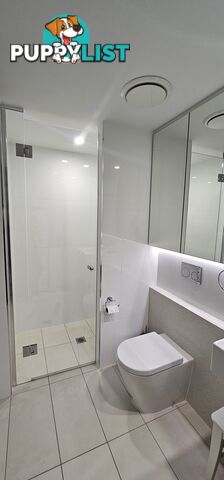 ID:21155512 388 Marine Parade Labrador QLD 4215
