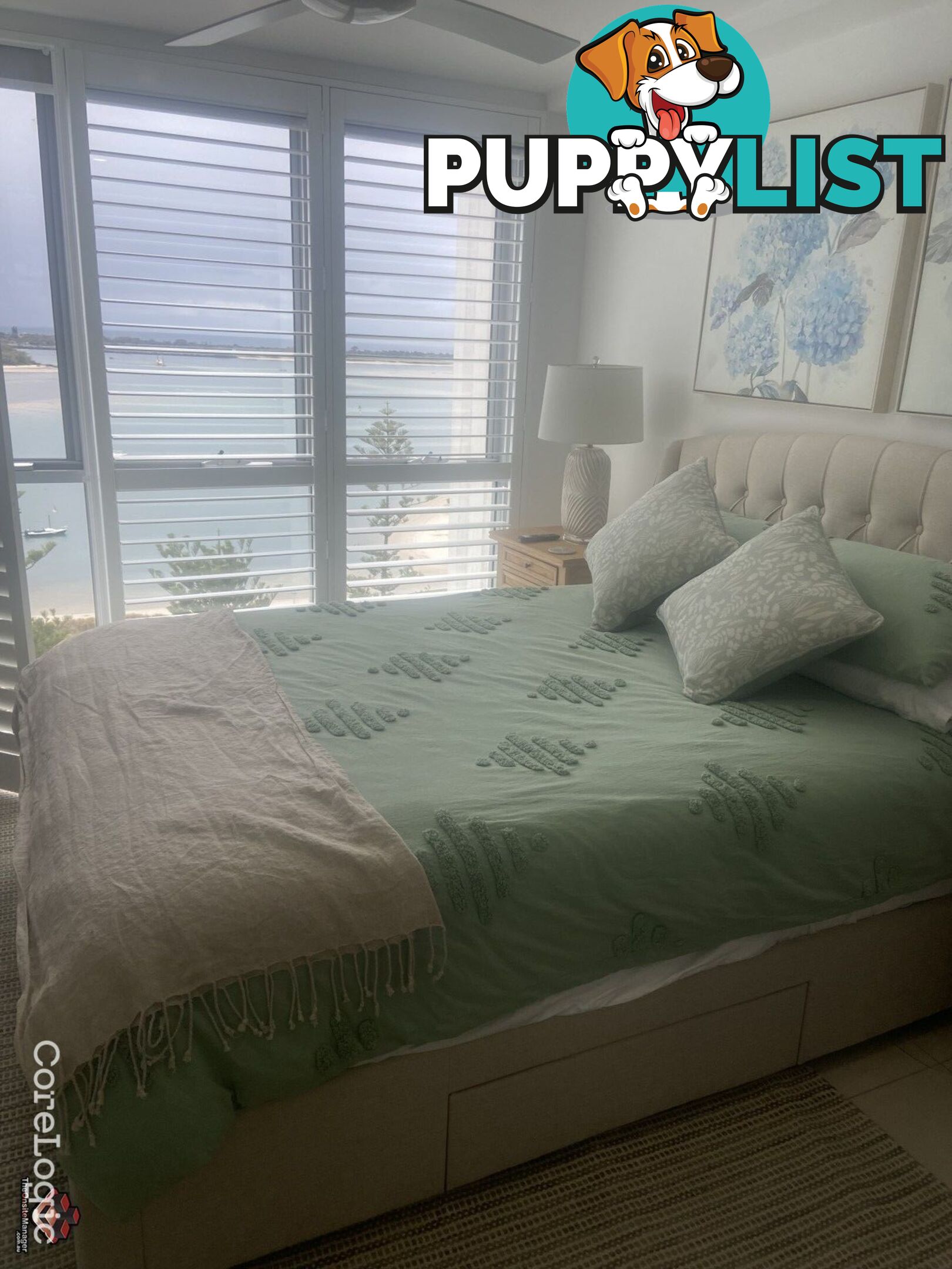 ID:21155512 388 Marine Parade Labrador QLD 4215
