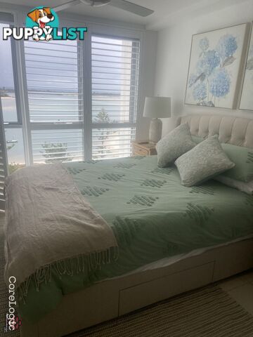 ID:21155512 388 Marine Parade Labrador QLD 4215