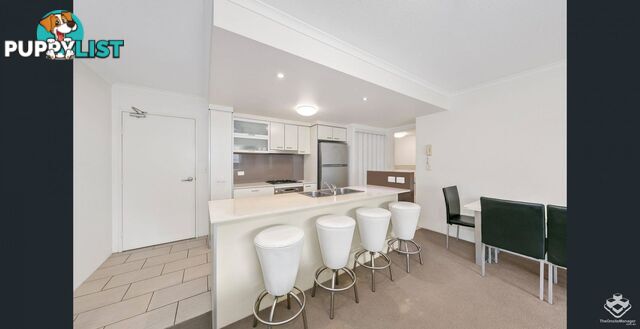 ID:21130411 6 Exford Street Brisbane City QLD 4000