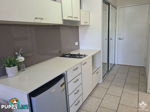 ID:21130411 6 Exford Street Brisbane City QLD 4000