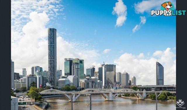 ID:21130411 6 Exford Street Brisbane City QLD 4000