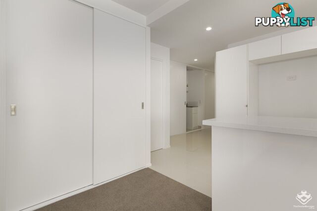 ID:21156587 21 Bombery Street Cannon Hill QLD 4170