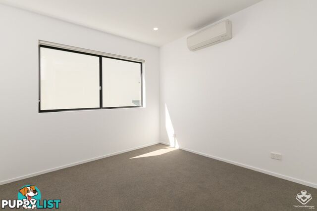 ID:21156587 21 Bombery Street Cannon Hill QLD 4170
