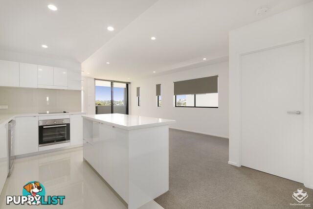 ID:21156587 21 Bombery Street Cannon Hill QLD 4170