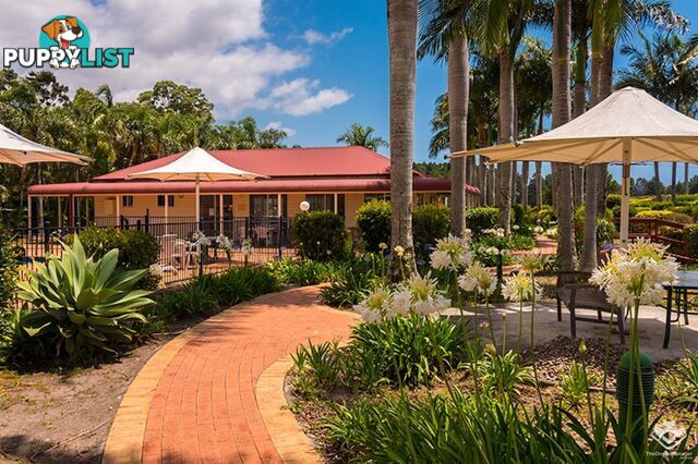 129/34 Monarch Drive Kingscliff NSW 2487