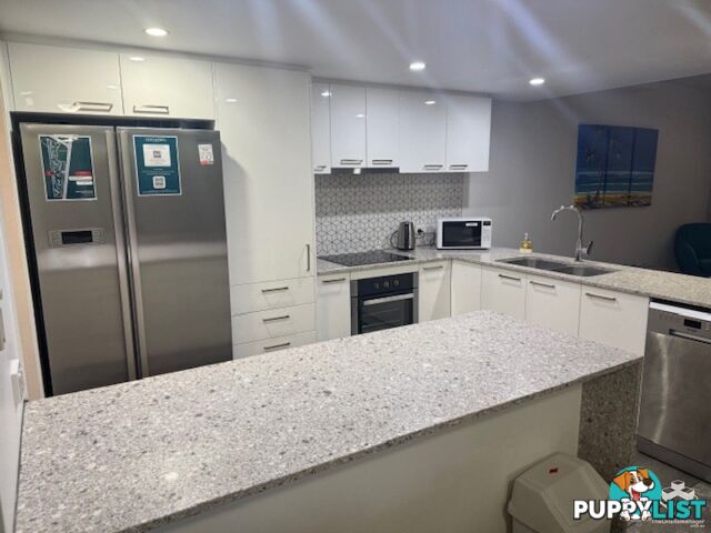 ID:21154744 388 David Low Way Peregian Beach QLD 4573