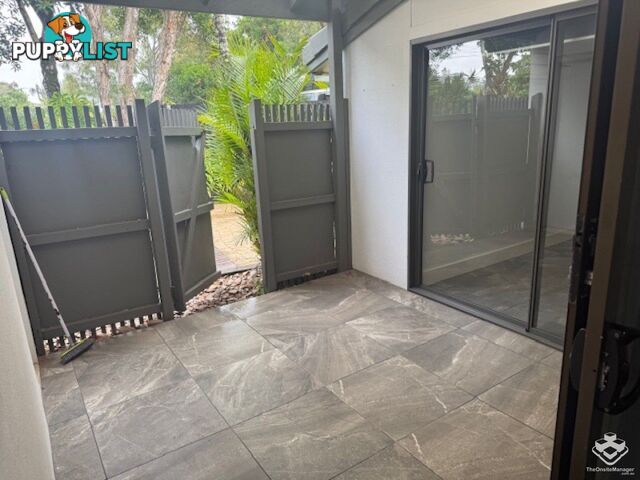 ID:21154744 388 David Low Way Peregian Beach QLD 4573