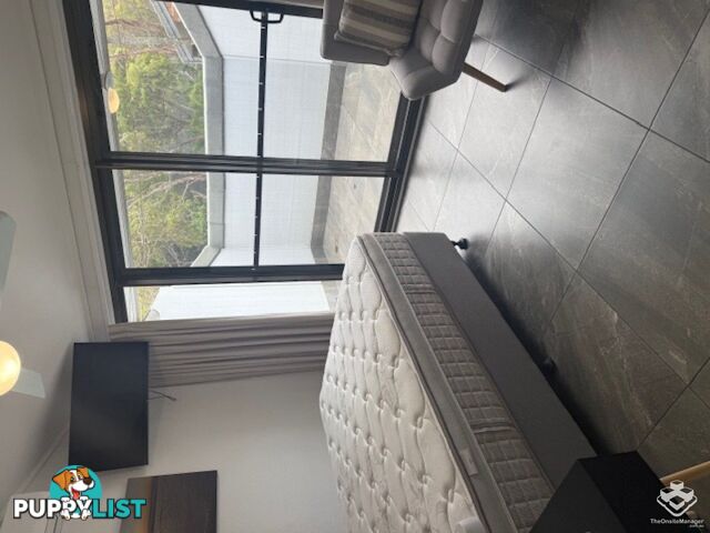 ID:21154744 388 David Low Way Peregian Beach QLD 4573