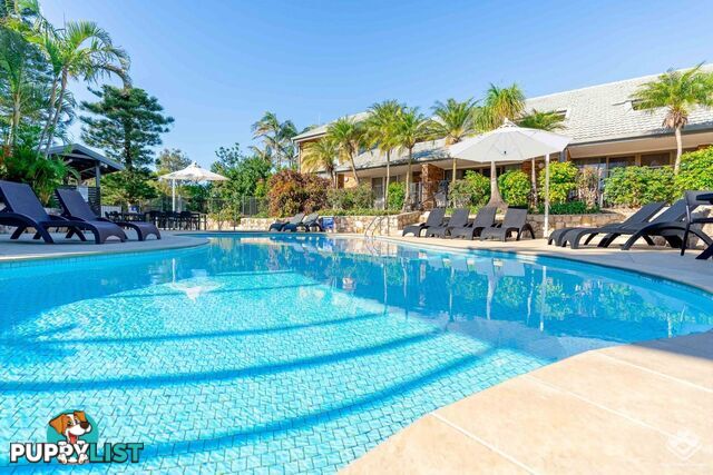 ID:21154744 388 David Low Way Peregian Beach QLD 4573