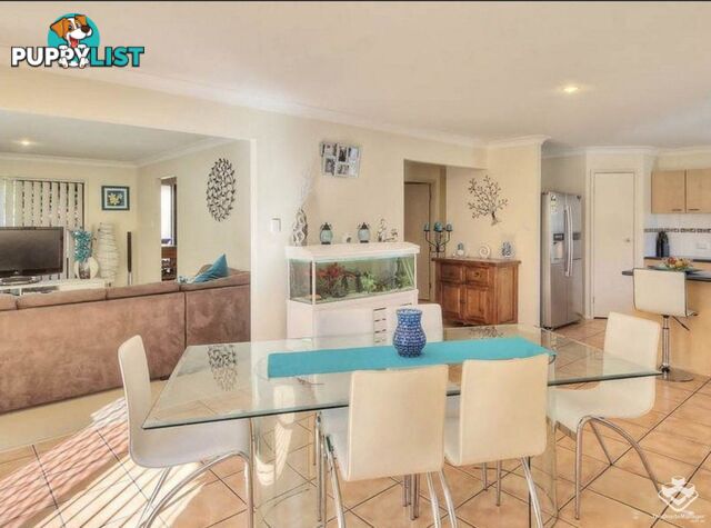 29 Mount Daguilar Crescent Algester QLD 4115