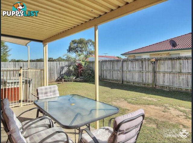 29 Mount Daguilar Crescent Algester QLD 4115