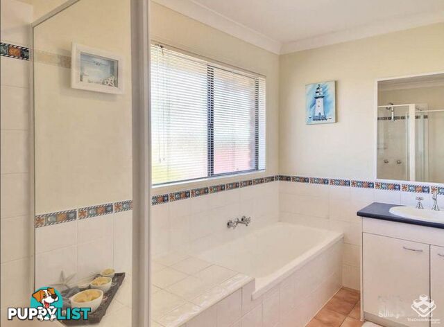 29 Mount Daguilar Crescent Algester QLD 4115