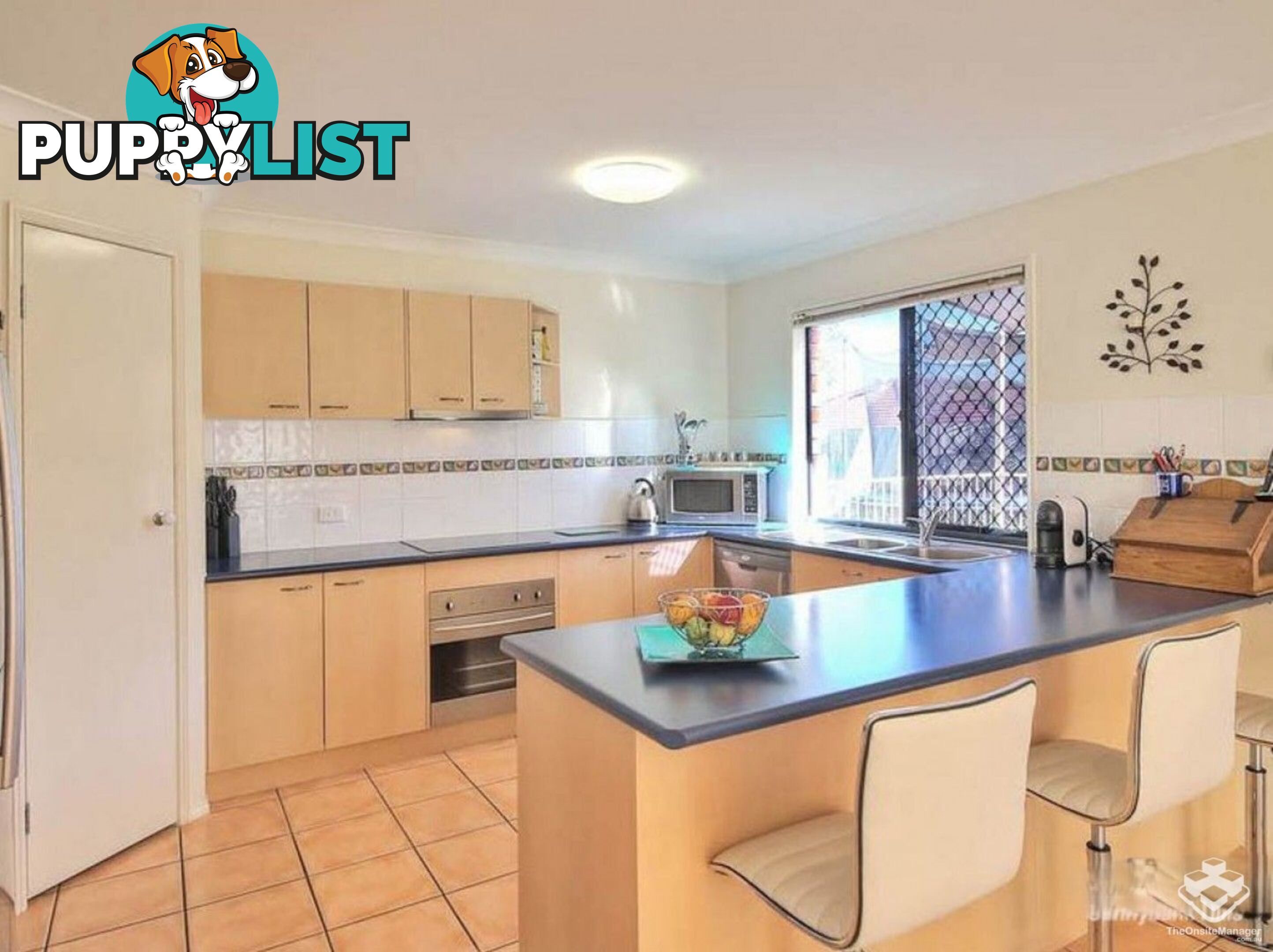 29 Mount Daguilar Crescent Algester QLD 4115