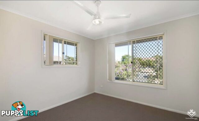 ID:21157284 62 Brandon Road Runcorn QLD 4113
