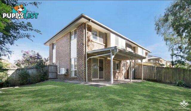 ID:21157284 62 Brandon Road Runcorn QLD 4113