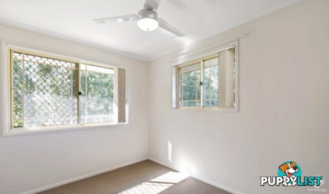 ID:21157284 62 Brandon Road Runcorn QLD 4113